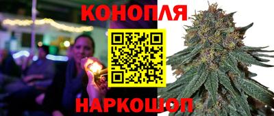 дживик Ставрополь