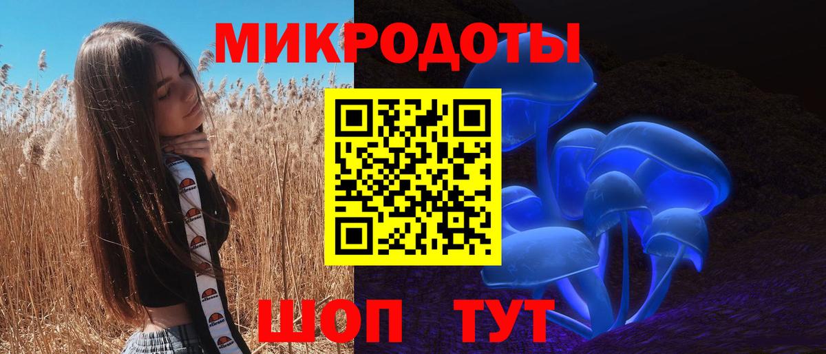 Галлюциногенные грибы Psilocybine cubensis Михайловск