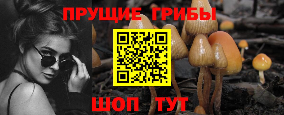 Галлюциногенные грибы ЛСД  Вход с VPN  Галлюциногенные грибы мухоморы  Михайловск 